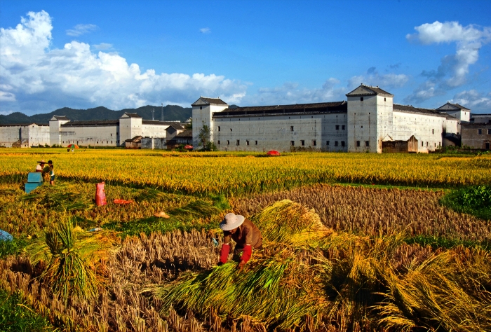 和平林寨古村，一座融合中西建筑风格的客家古村落，以其悠久的历史、丰富的文化底蕴和独特的自然景观吸引着无数游客。