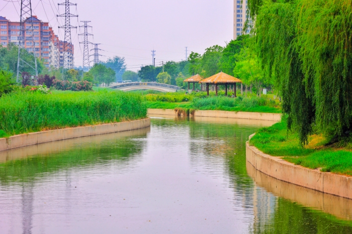 黄汴河(14843534)-20250609154151