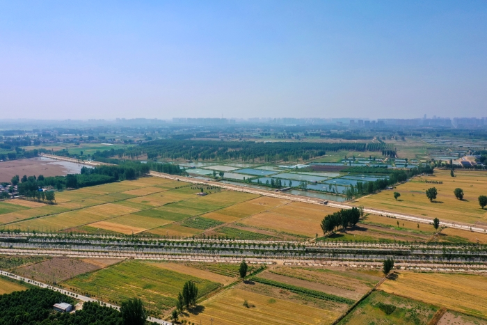DJI_0182(3856514)-20250618064305