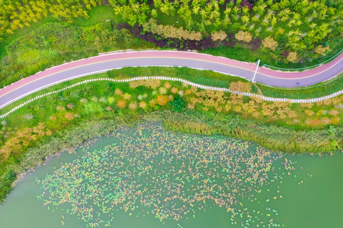DJI_0378(16031862)-20250917083829