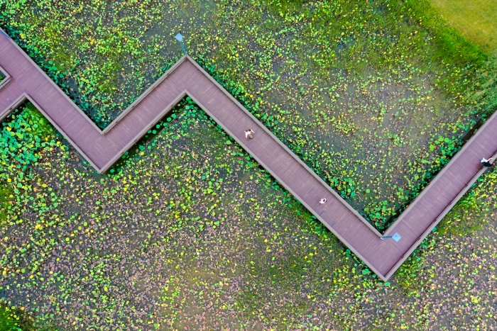 DJI_0367(16031870)-20250917083841