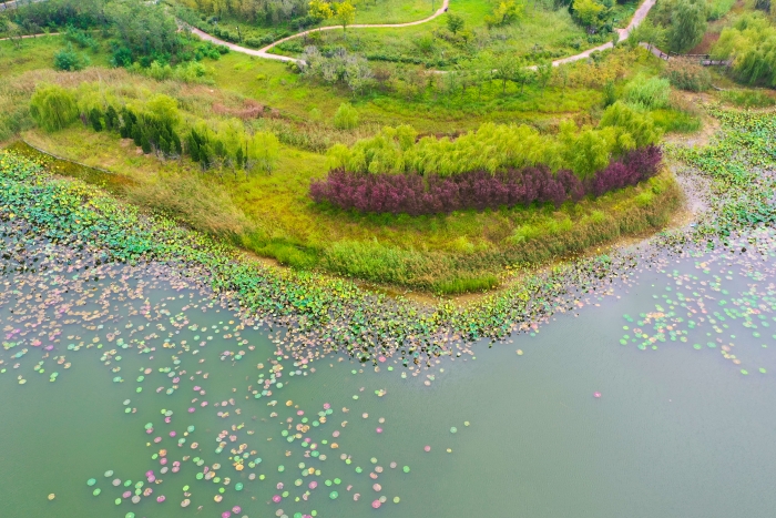 DJI_0371(16031871)-20250917083844