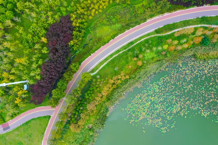 DJI_0380(16031876)-20250917083904