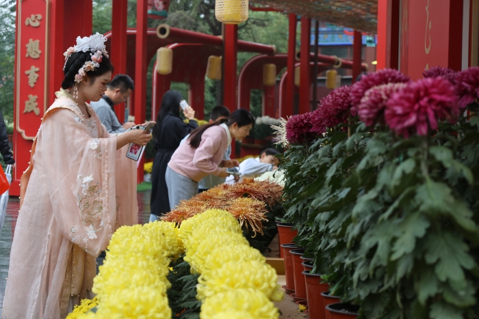 ER9A9461(17101769)-20251219062403